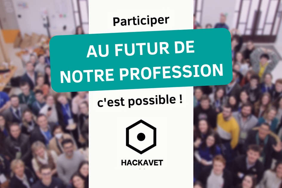 Affiche Hackavet