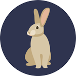 Icône lapin