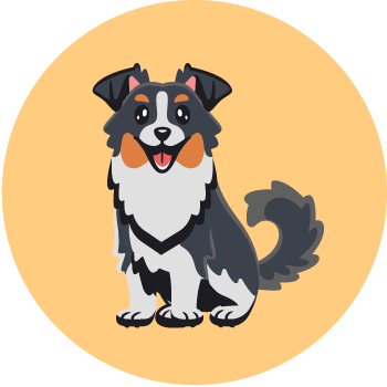 Badge chien