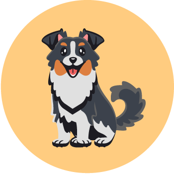 Badge chien