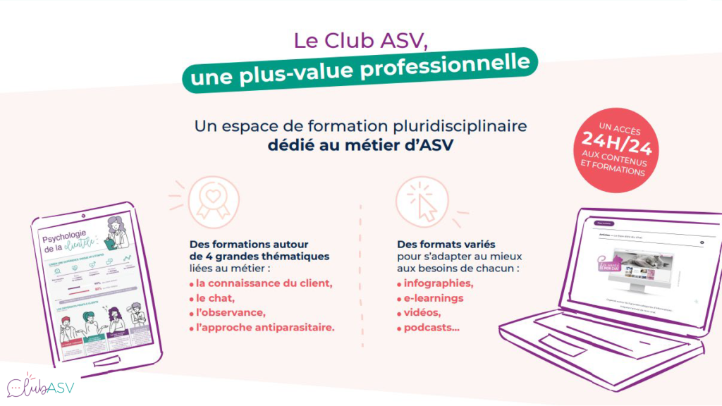 Bannière de promotion