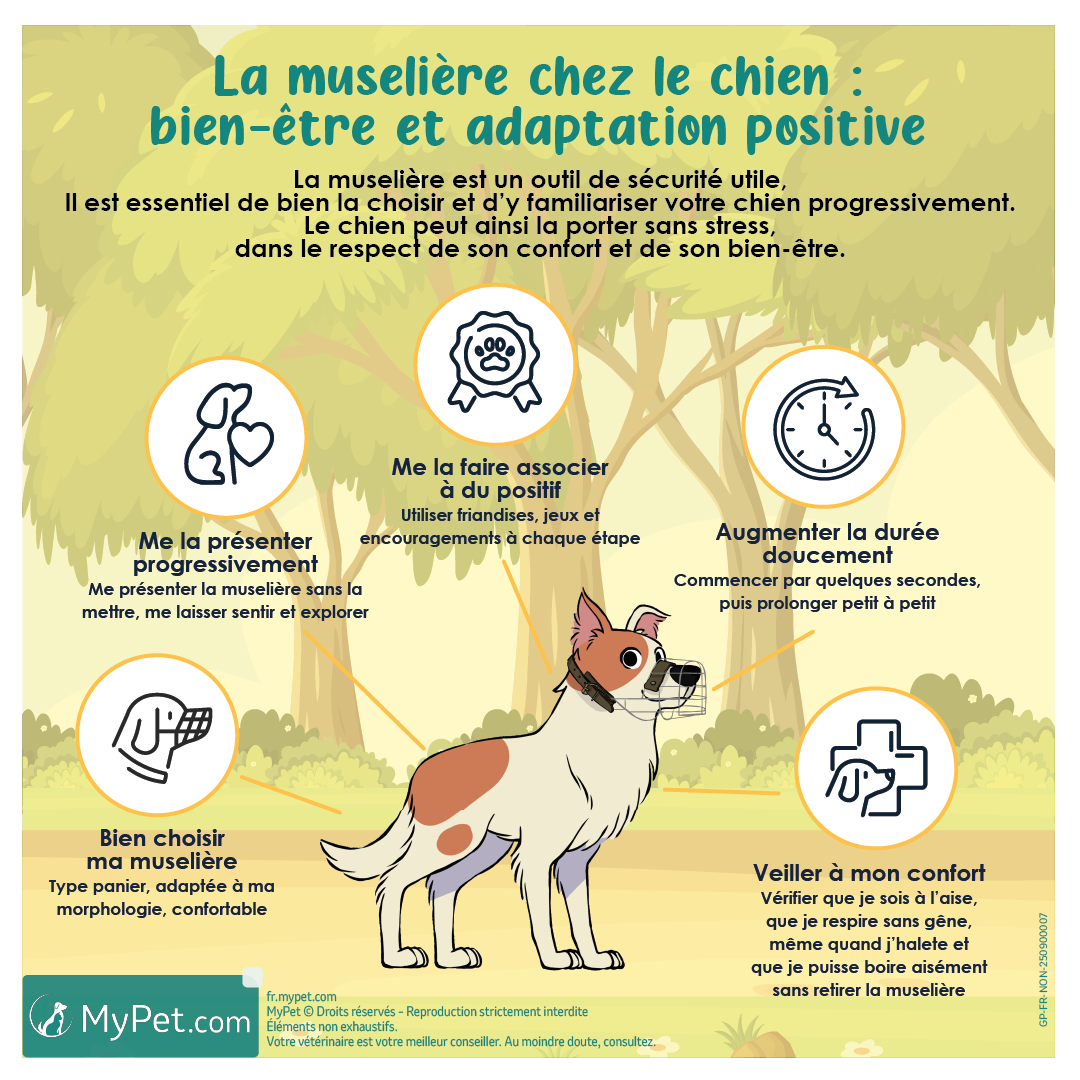 Muselière