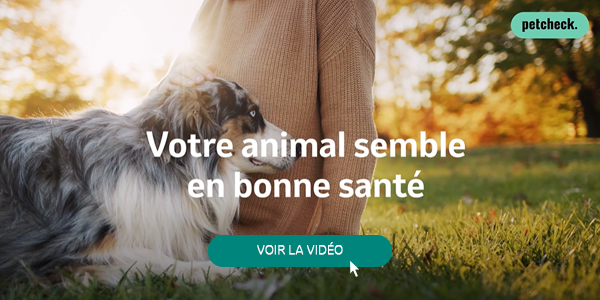 Parasites sensibilisation vidéo
