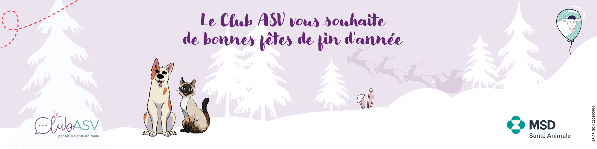 noël Club ASV