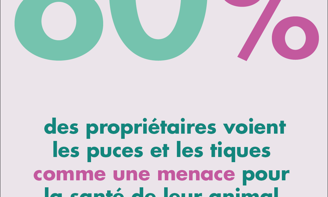 puce-probleme