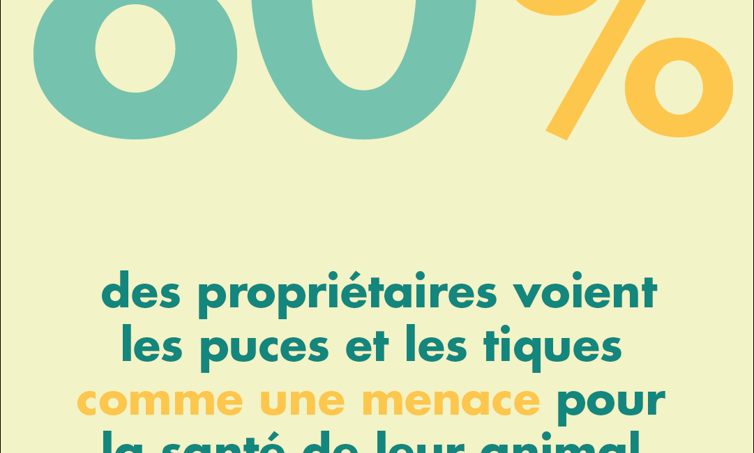 puce-tique-menace