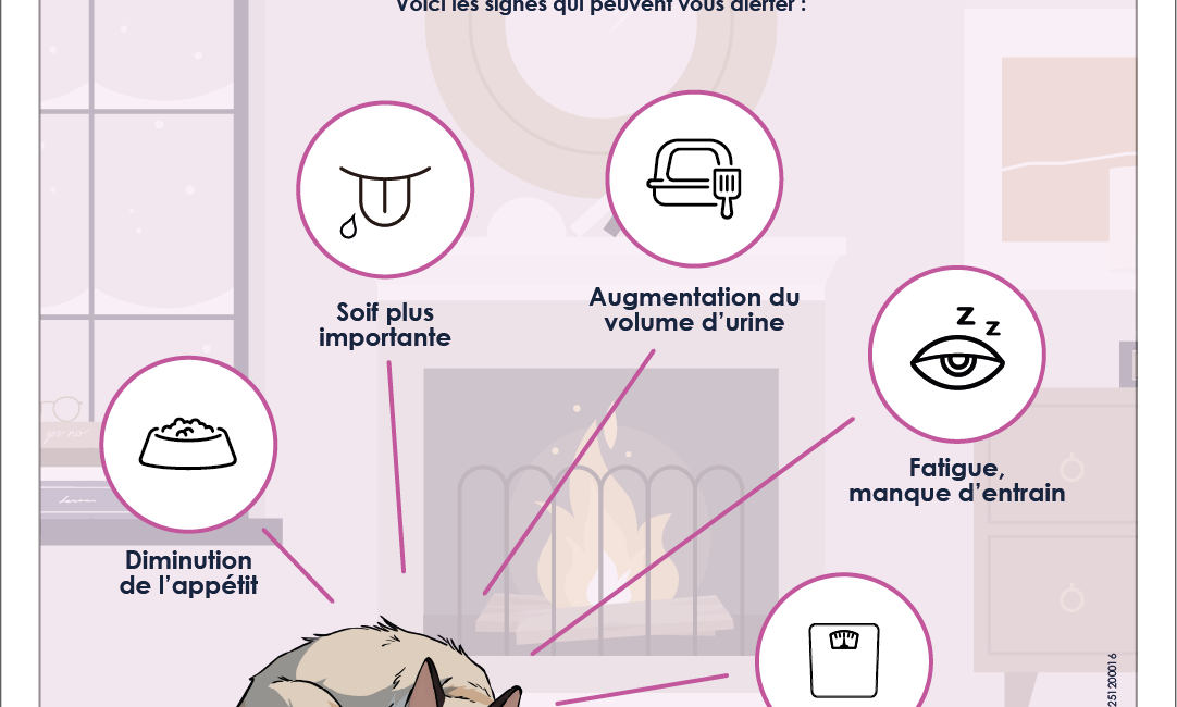 INSUFFISANCE RÉNALE