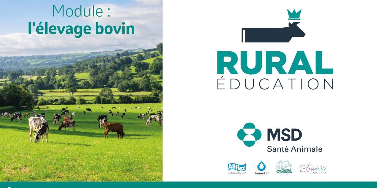 Formation élevage bovin ASV