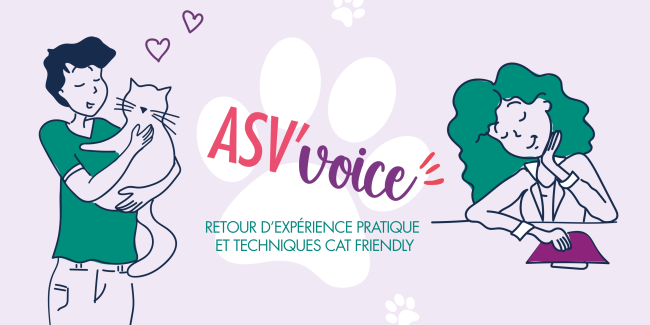 techniques cat friendly