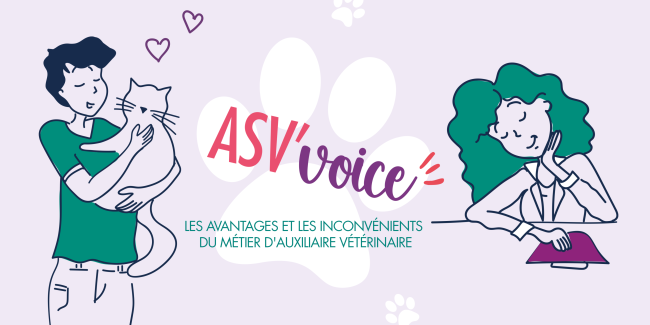 avantages et inconvénients métier asv