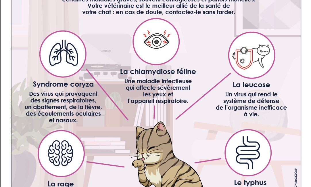 CONTRE QUELLES MALADIES VACCIN