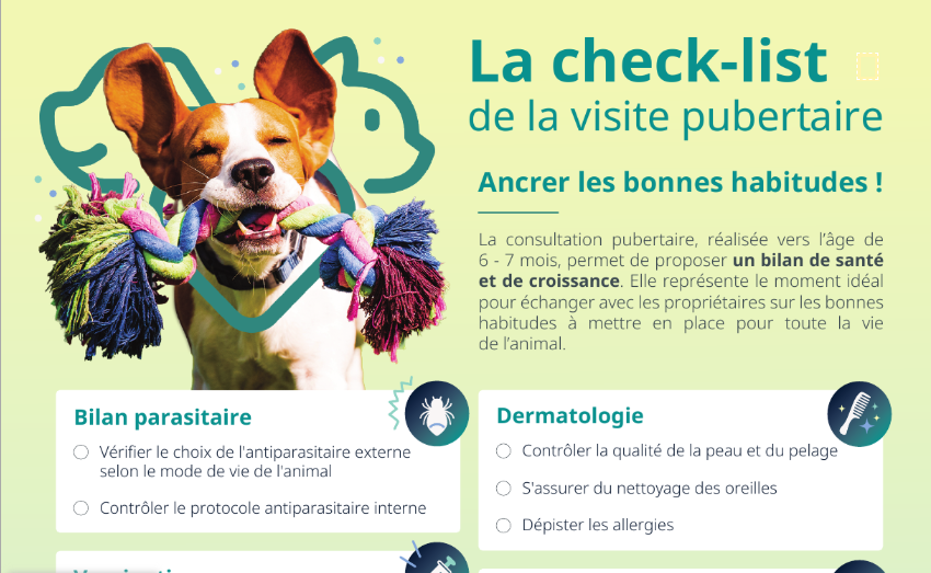 check-list consultation pubertaire chien