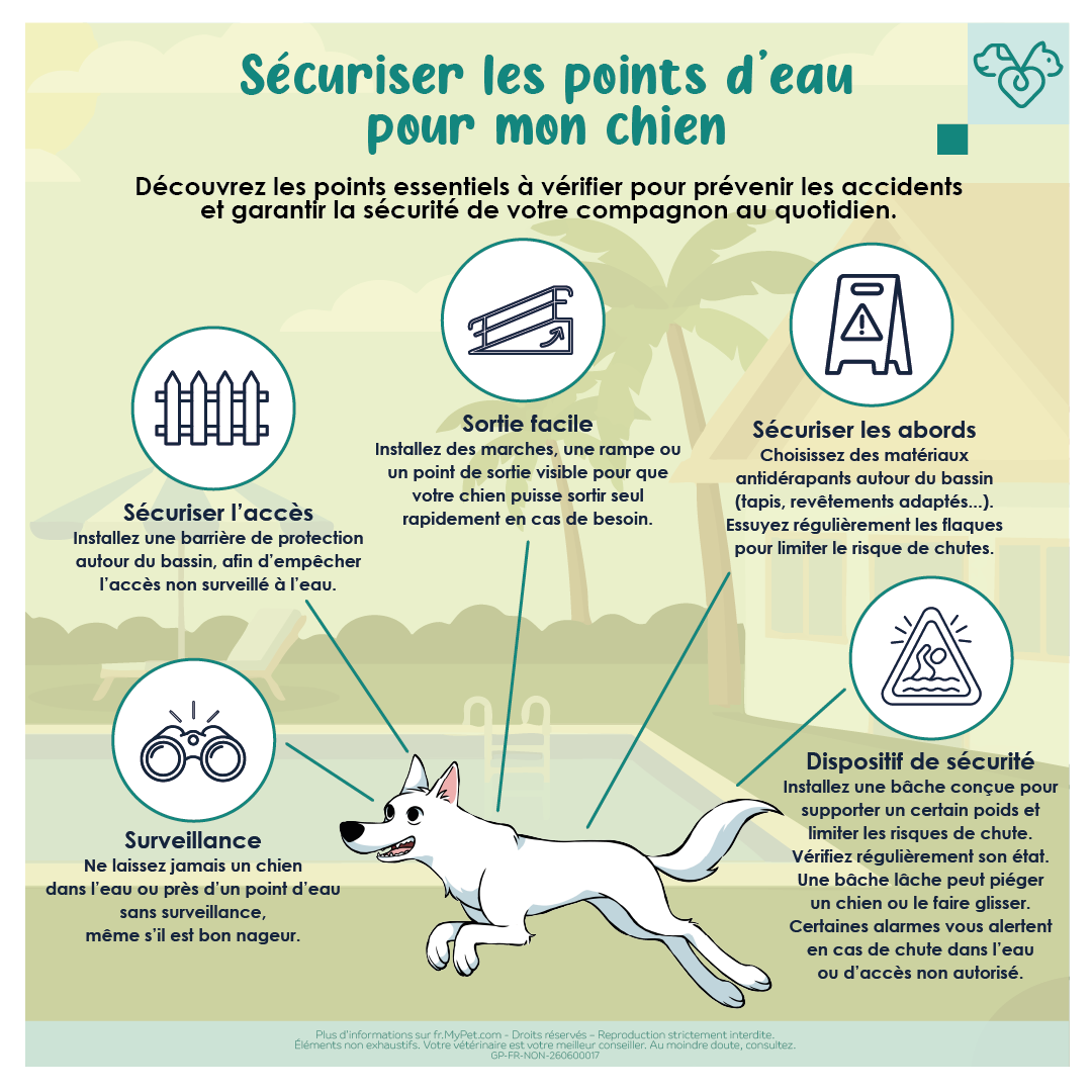 sécurité points d'eau chien