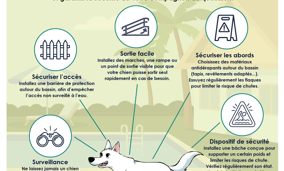 sécurité points d'eau chien