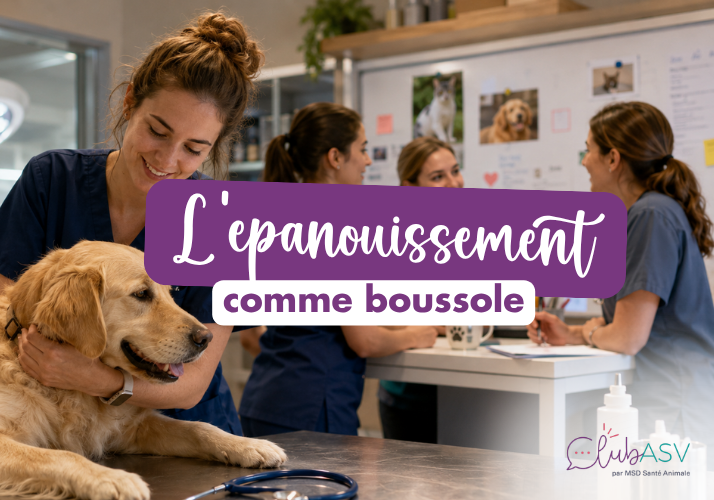 developpement-personnel-asv-clinique-veterinaire