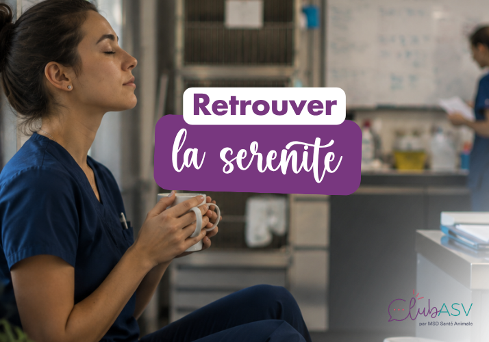 asv-sérénité-au-travail