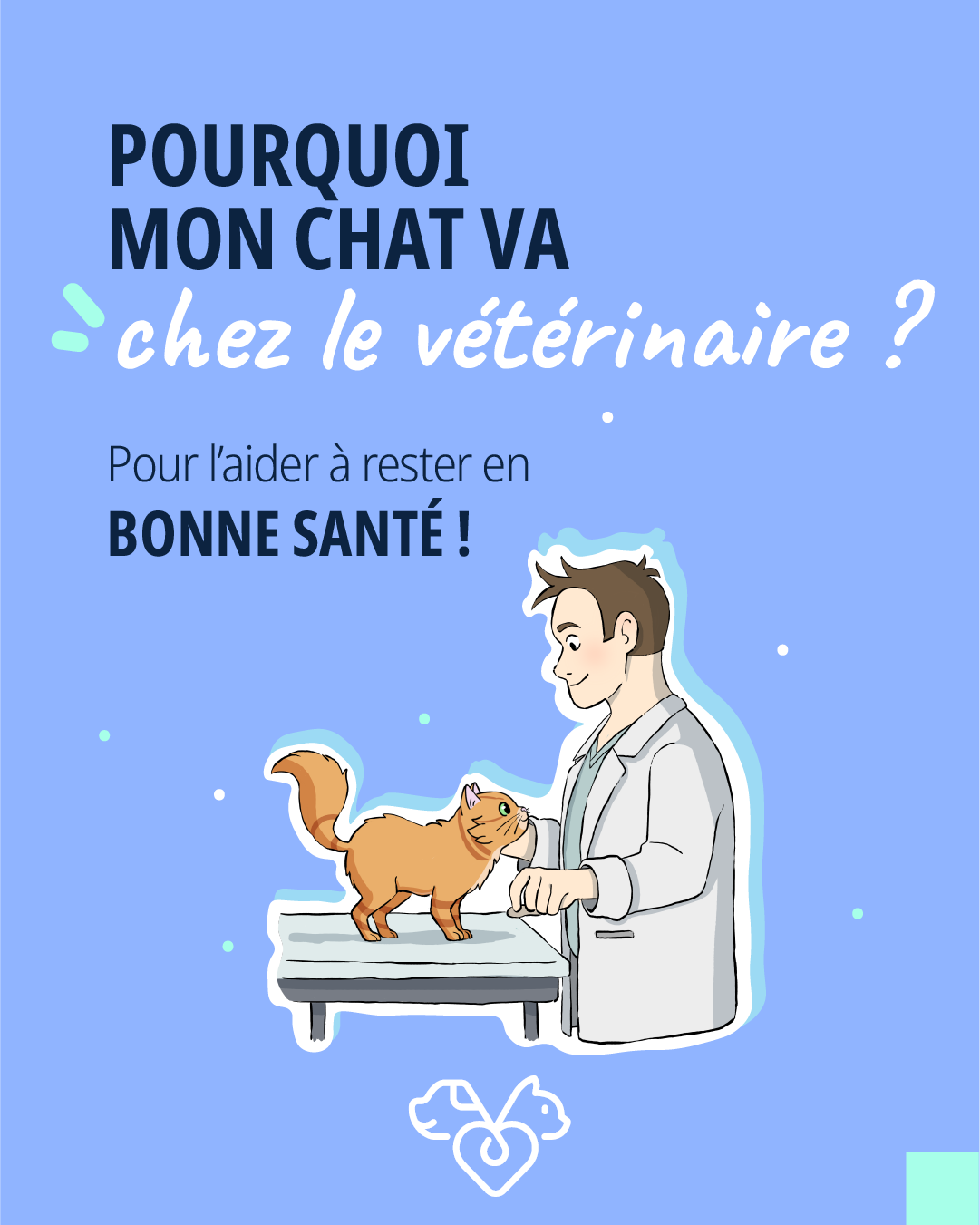 visite vétérinaire chat