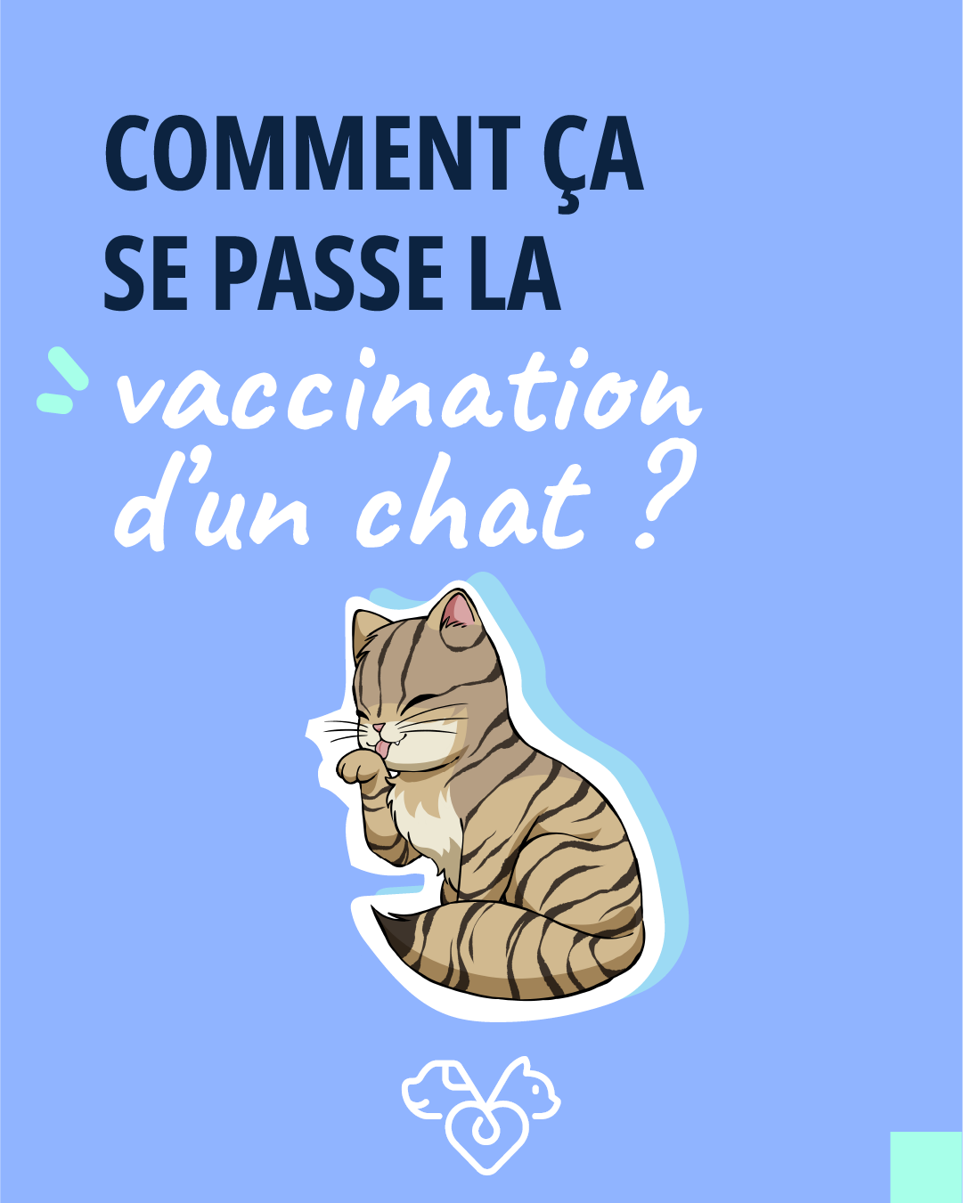 vaccination du chat