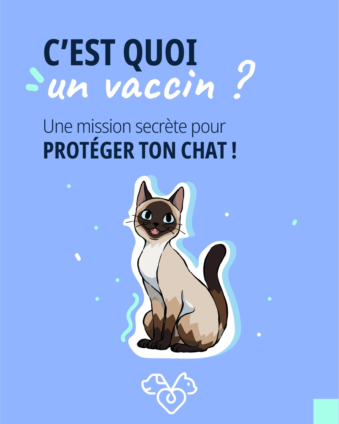 vaccin pour chat