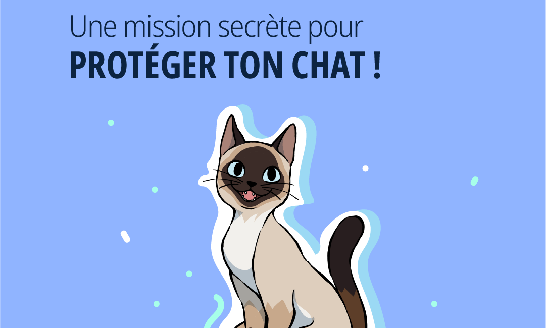 vaccin pour chat