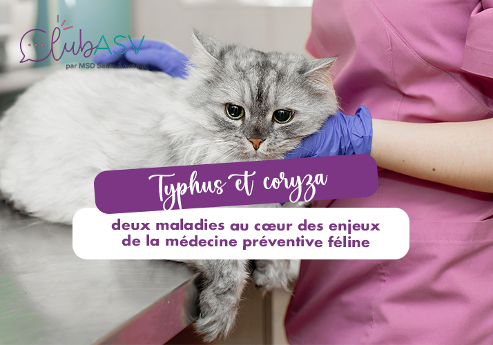 typhus-coryza-medecine-preventive