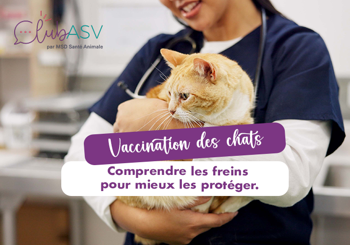 vaccination des chats